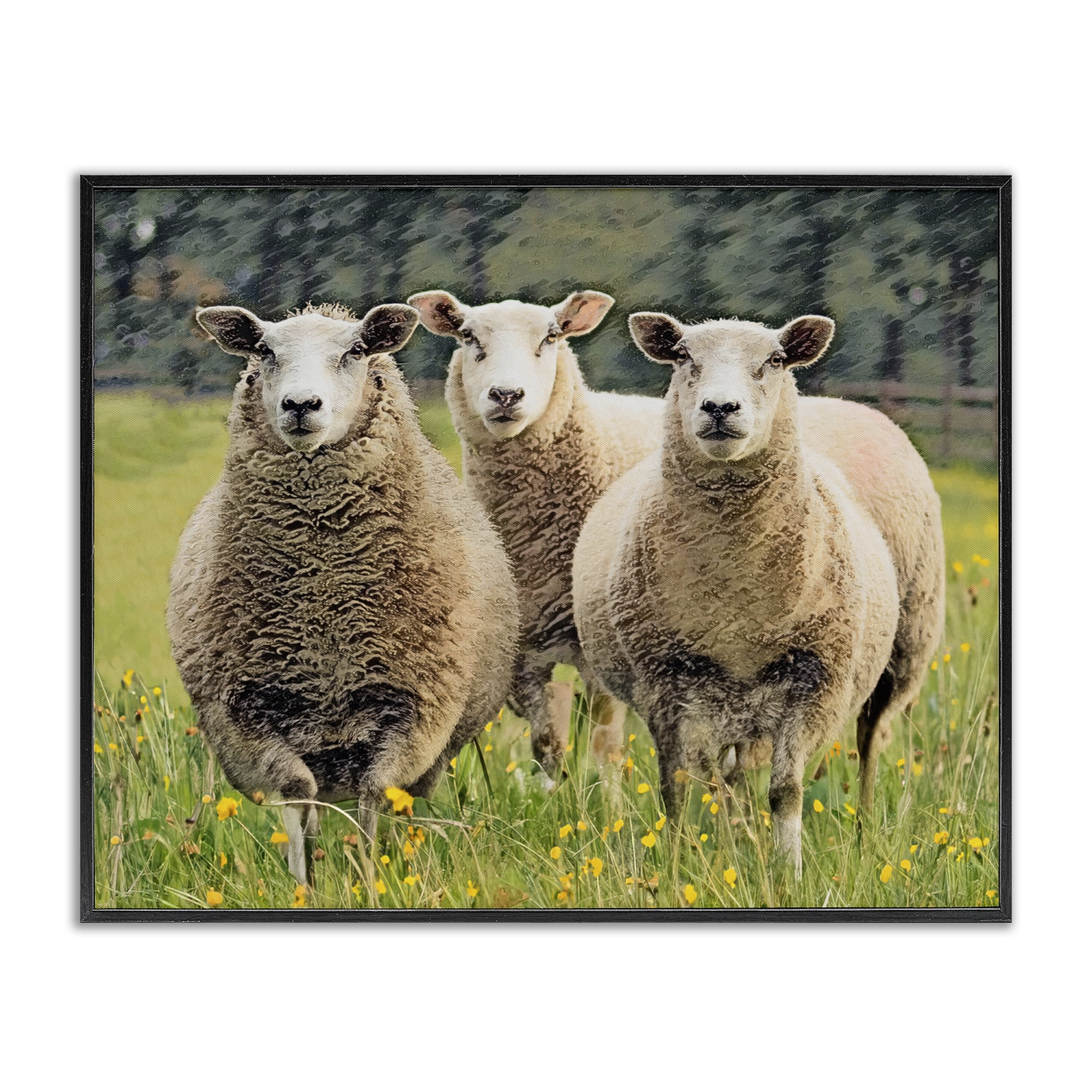Stupell Industries Sheep Grazing in Grass Animals & Insects Painting Black Framed Art Print Wall Art, 14 x 11