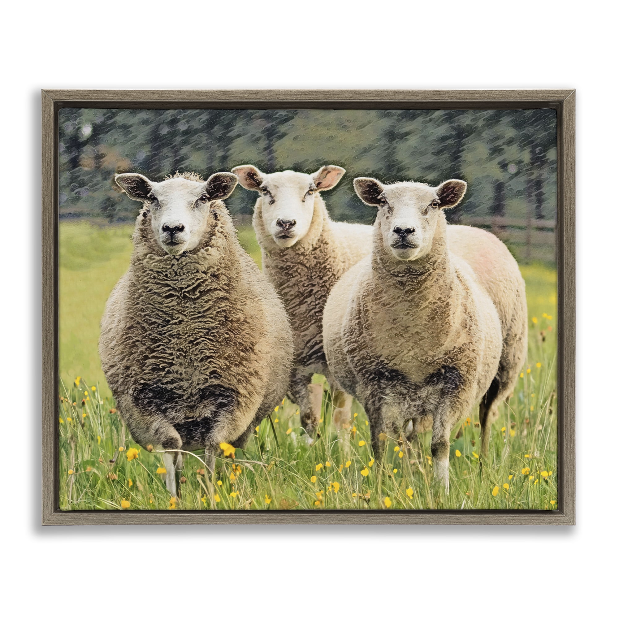 Stupell Industries Sheep Grazing in Grass Animals & Insects Painting Brown Floater Framed Canvas Art Print Wall Art, 21 x 17
