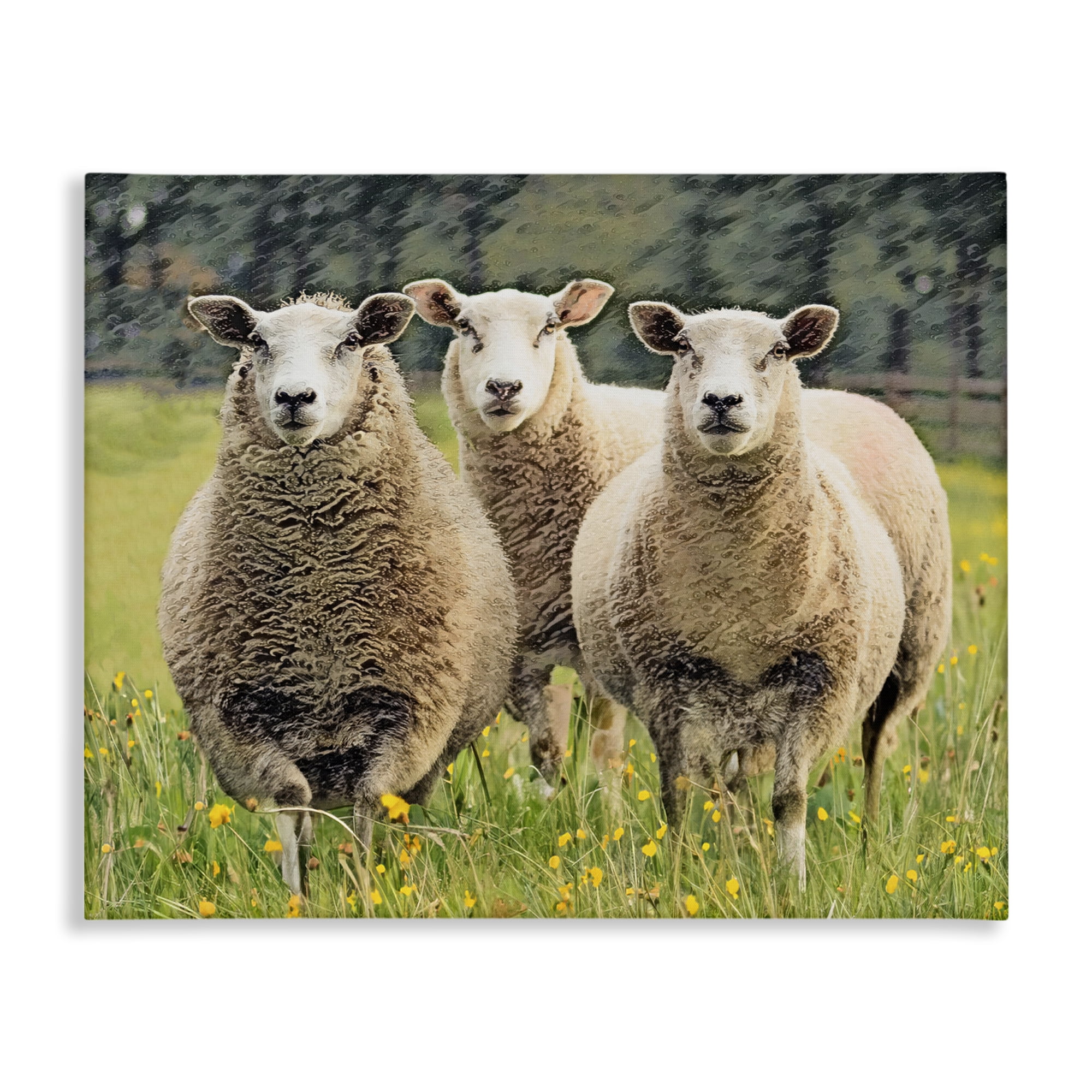 Stupell Industries Sheep Grazing in Grass Animals & Insects Painting Gallery Wrapped Canvas Art Print Wall Art, 30 x 24