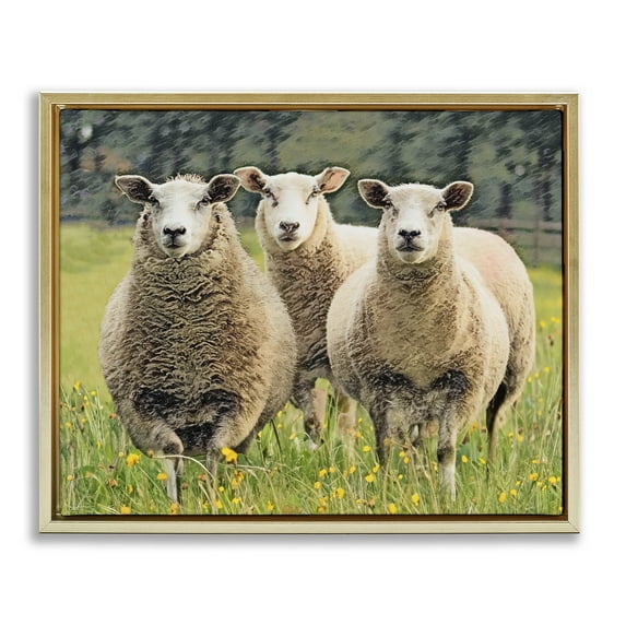 Stupell Industries Sheep Grazing in Grass Animals & Insects Painting Gold Floater Framed Canvas Art Print Wall Art, 21 x 17