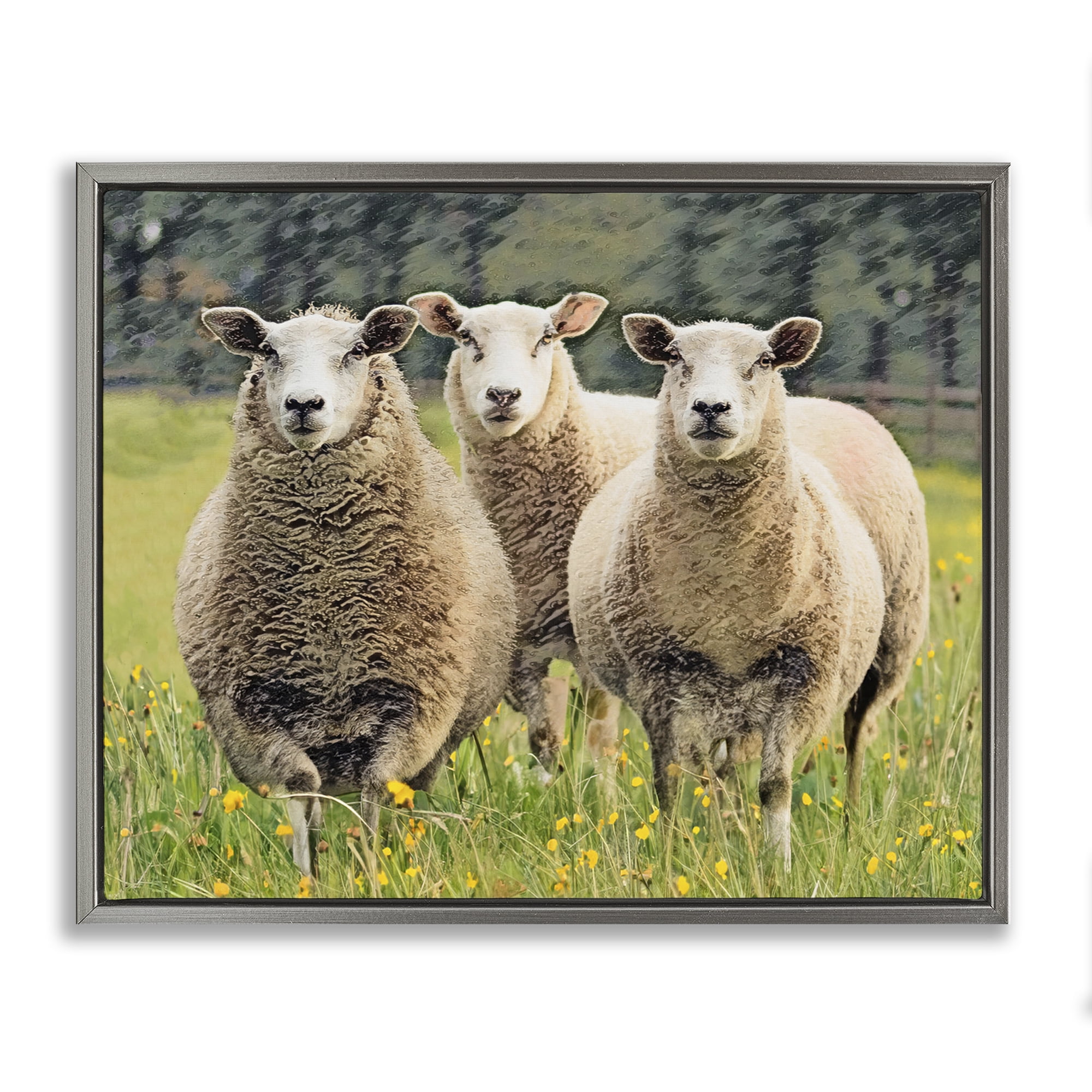 Stupell Industries Sheep Grazing in Grass Animals & Insects Painting Gray Floater Framed Canvas Art Print Wall Art, 31 x 25