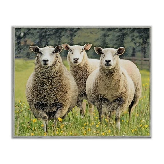 Stupell Industries Sheep Grazing in Grass Animals & Insects Painting Gray Framed Art Print Wall Art, 14 x 11