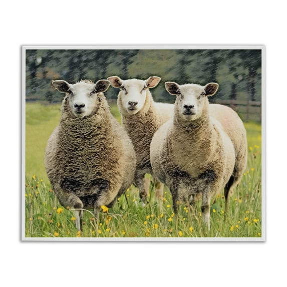 Stupell Industries Sheep Grazing in Grass Animals & Insects Painting White Framed Art Print Wall Art, 20 x 16