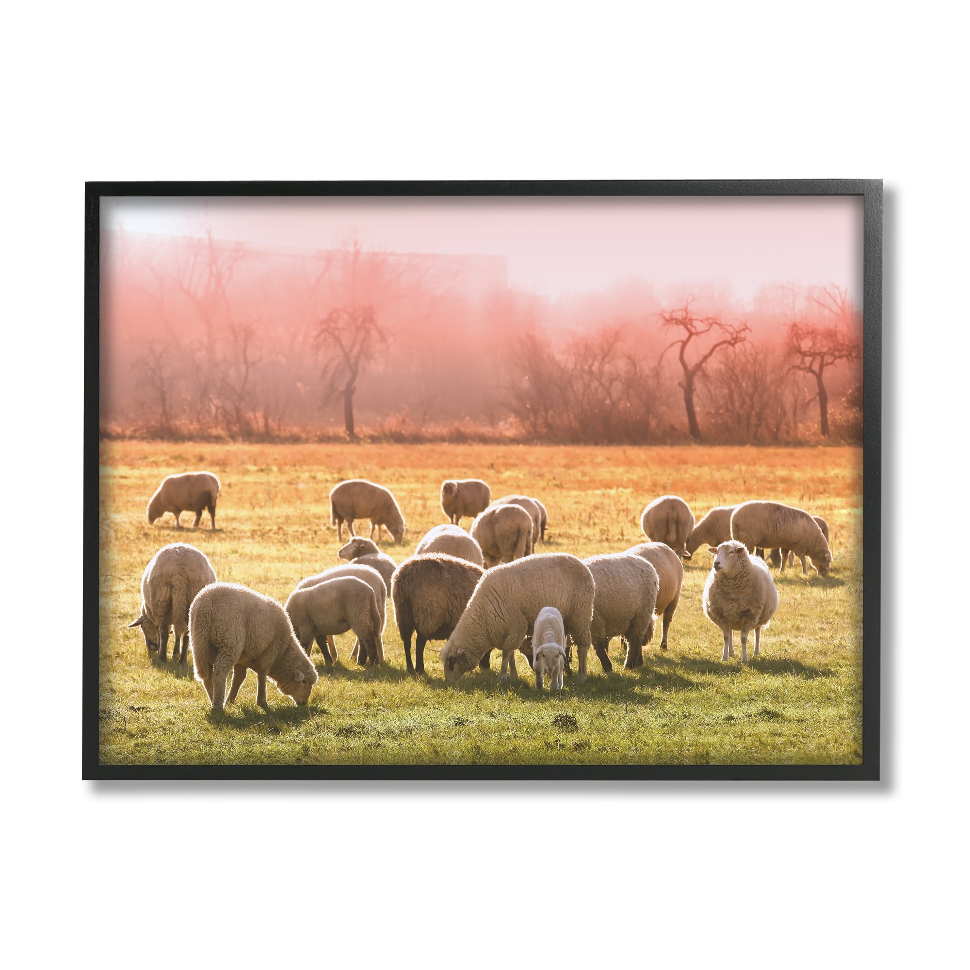Stupell Industries Sheep Herd Grazing Warm Pink Sunset Rural Grassland Photograph Black Framed Art Print Wall Art, Design by Daphne Polselli