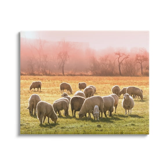 Stupell Industries Sheep Herd Grazing Warm Pink Sunset Rural Grassland Photograph Gallery Wrapped Canvas Print Wall Art, Design by Daphne Polselli