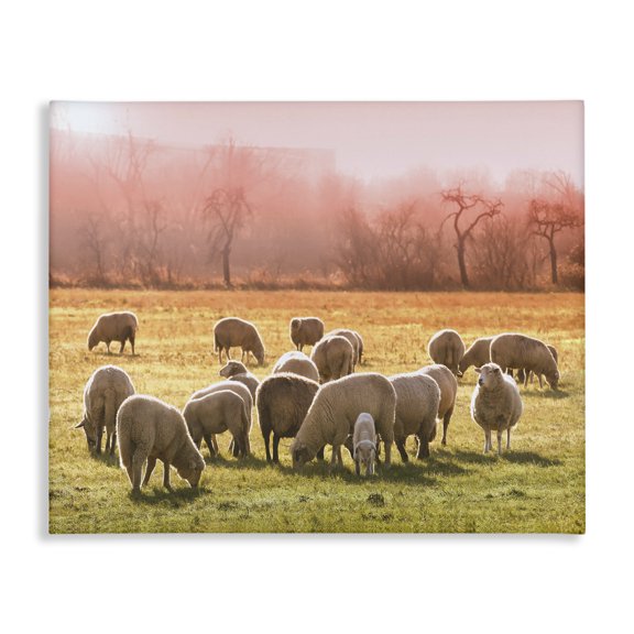 Stupell Industries Rustic Lodge Sheep Herd Grazing Warm Pink Sunset Rural Grassland Canvas Art, 20 x 16, by Lil' Rue