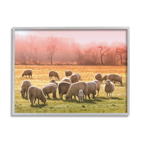 Stupell Industries Sheep Herd Grazing Warm Pink Sunset Rural Grassland Photograph Gray Framed Art Print Wall Art, Design by Daphne Polselli