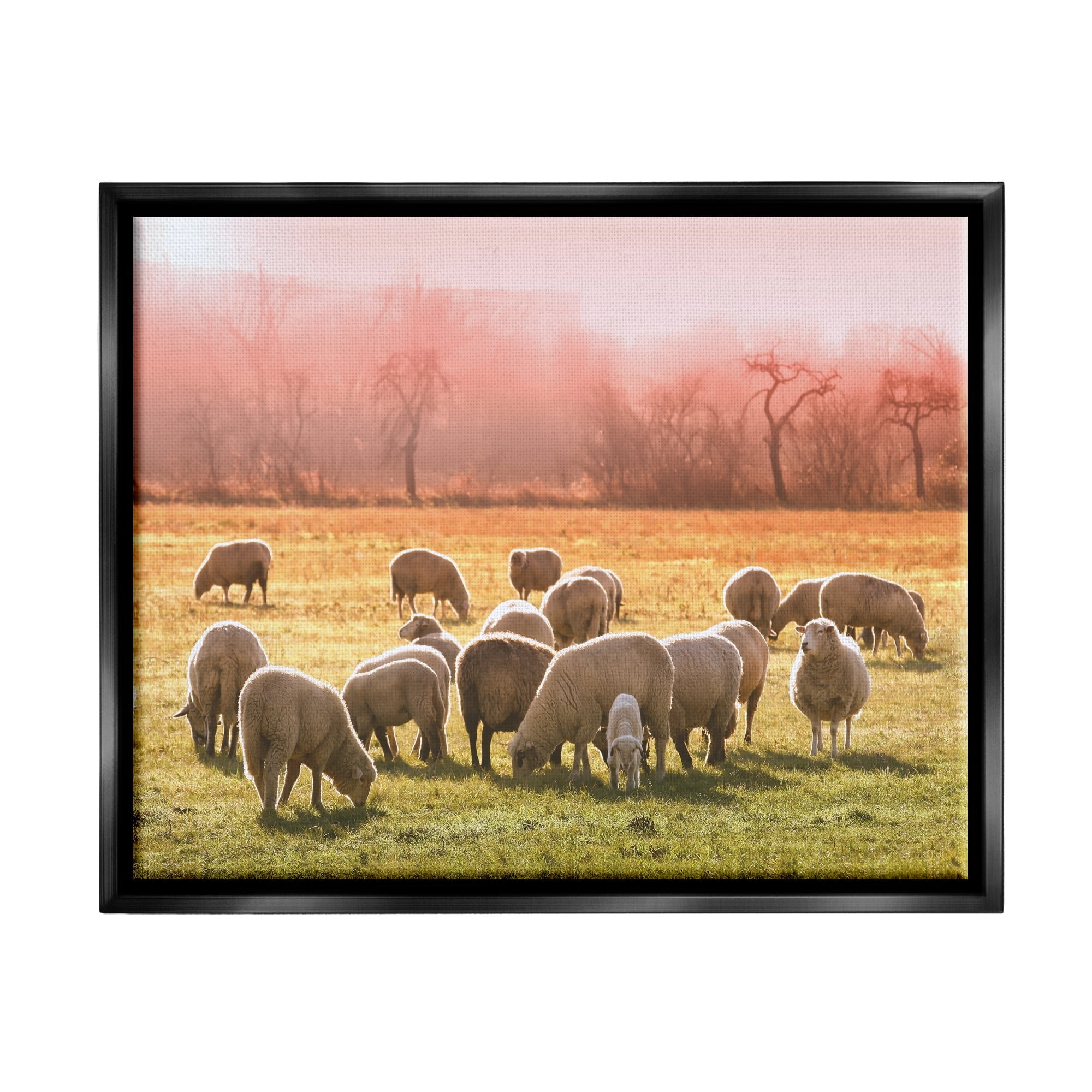 Stupell Industries Sheep Herd Grazing Warm Pink Sunset Rural Grassland Photograph Jet Black Floating Framed Canvas Print Wall Art, Design by Daphne Polselli