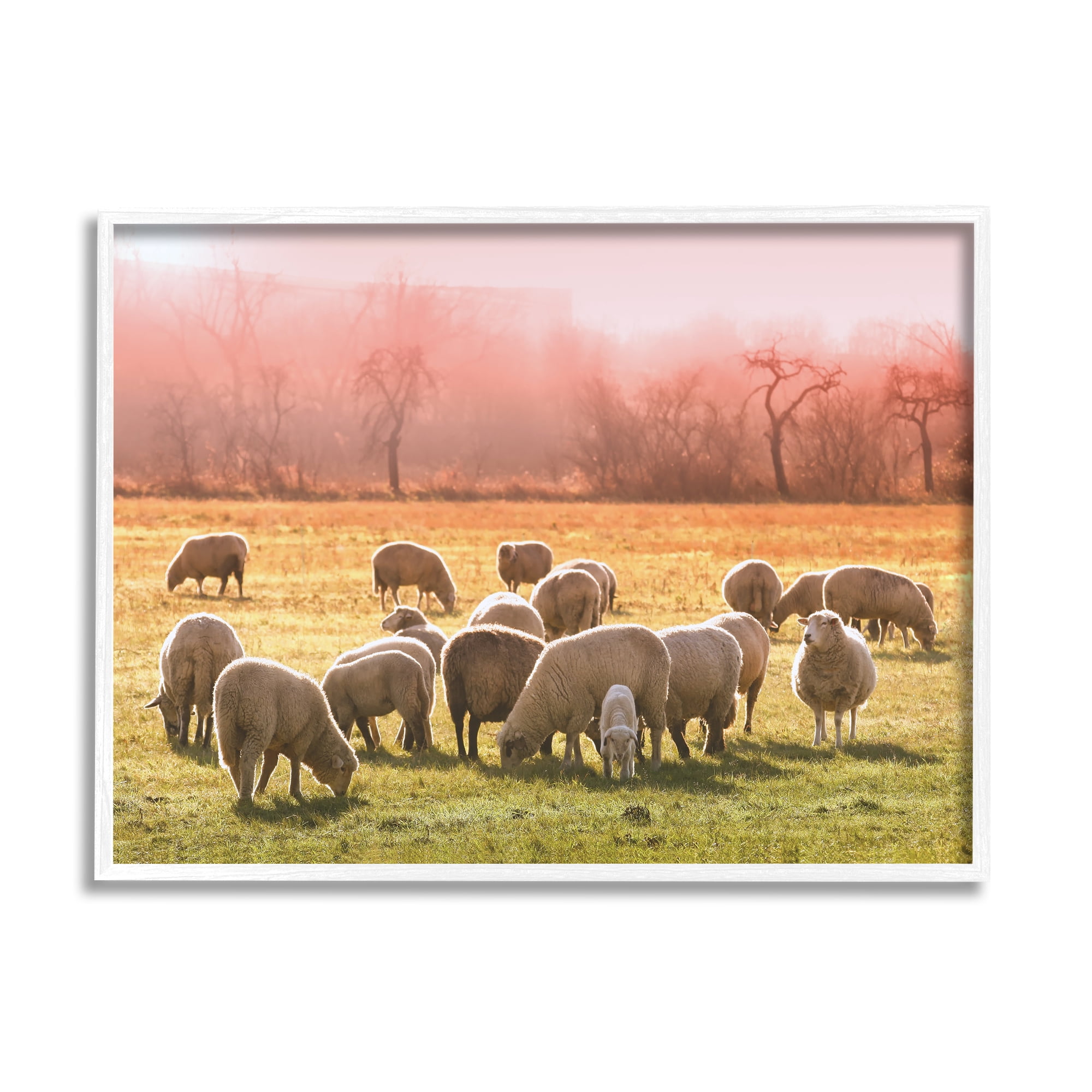 Stupell Industries Sheep Herd Grazing Warm Pink Sunset Rural Grassland Photograph White Framed Art Print Wall Art, Design by Daphne Polselli