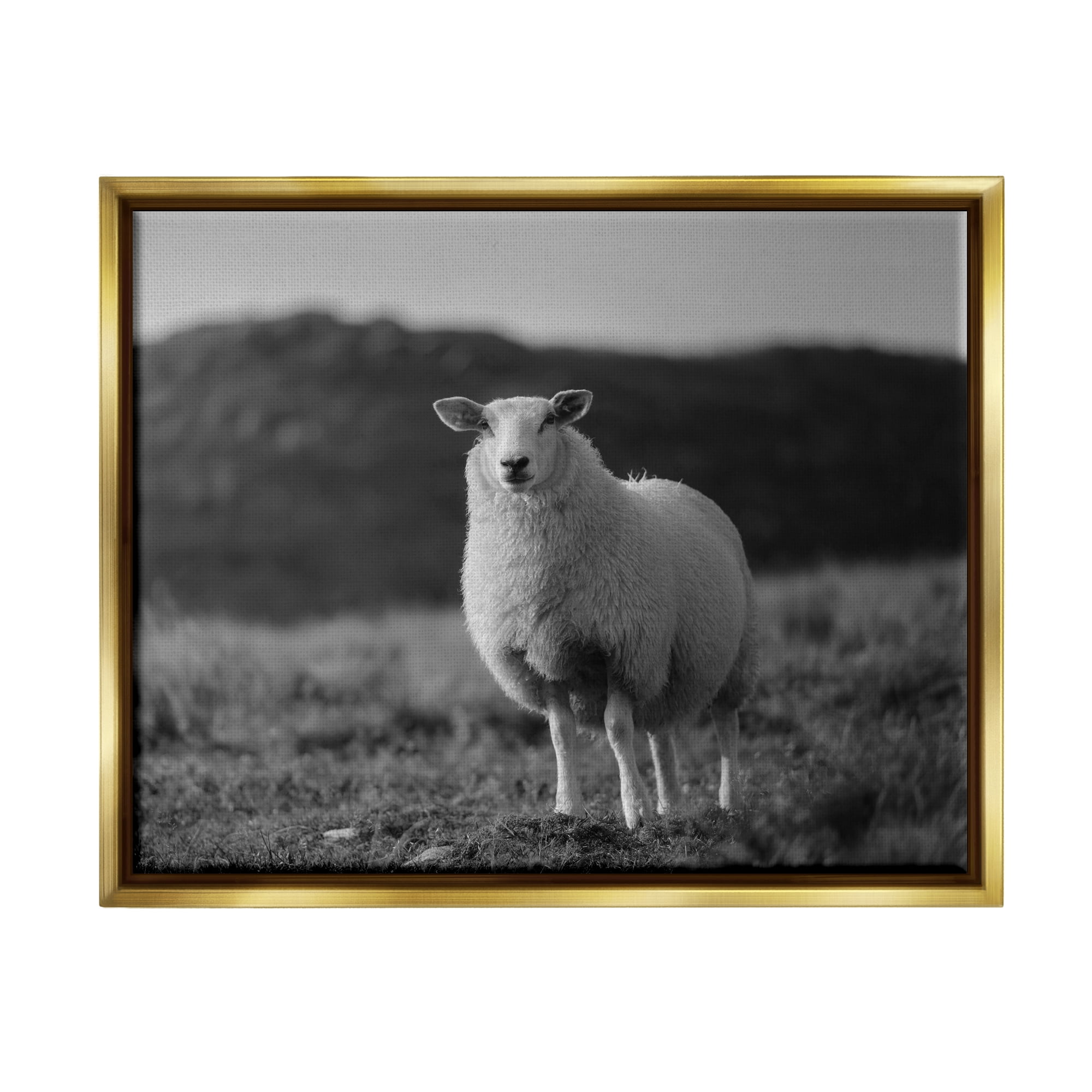 Stupell Industries Sheep In Rural Country Field Animals & Insects Photography Gold Floater Framed Art Print Wall Art