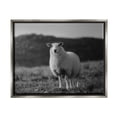 thumbnail image 1 of Stupell Industries Sheep In Rural Country Field Animals & Insects Photography Gray Floater Framed Art Print Wall Art, 1 of 6