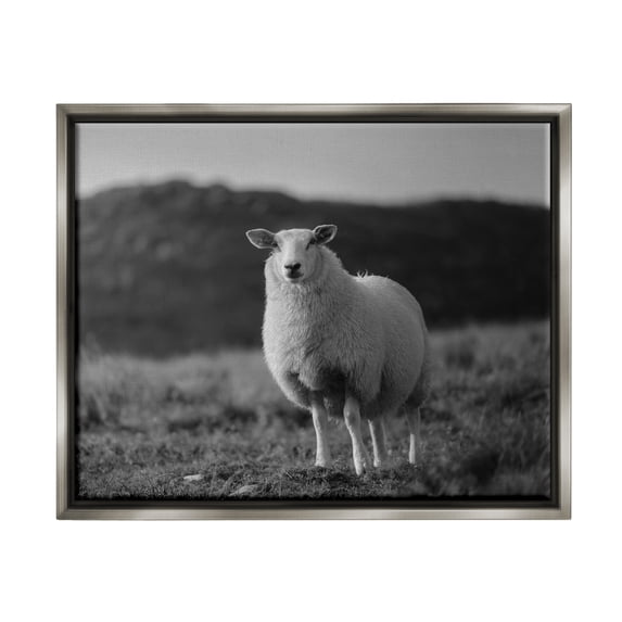 Stupell Industries Sheep In Rural Country Field Animals & Insects Photography Gray Floater Framed Art Print Wall Art