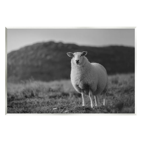 Stupell Industries Sheep In Rural Country Field Animals & Insects Photography Unframed Art Print Wall Art