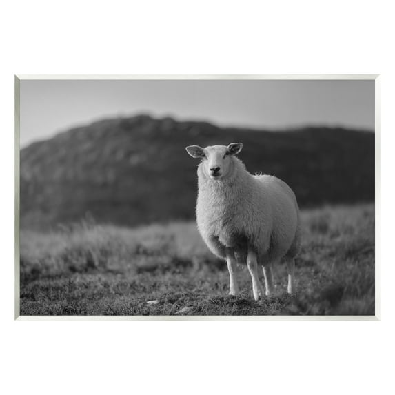 Stupell Industries Sheep In Rural Country Field Animals & Insects Photography Unframed Art Print Wall Art