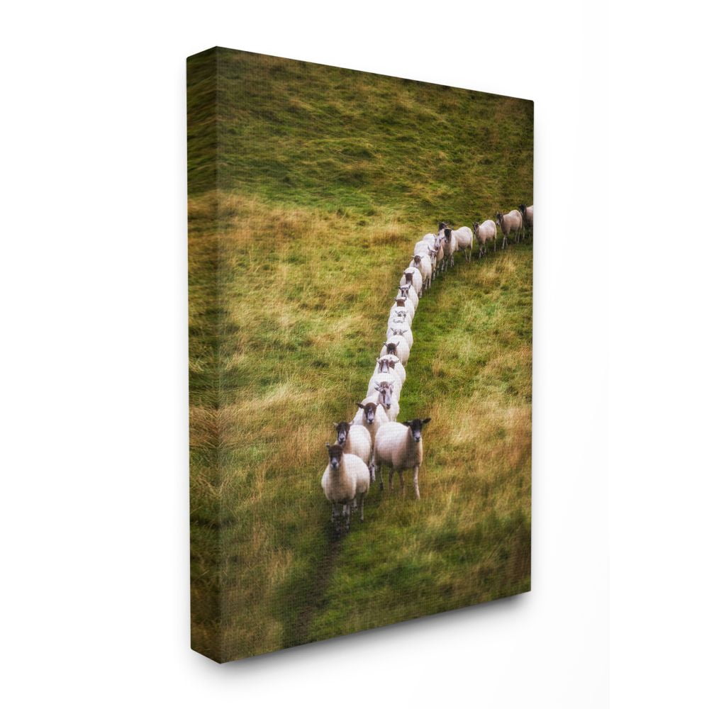 Stupell Industries Sheep Line Farm Animal Landscape Photo Canvas Wall Art by Villager Jim