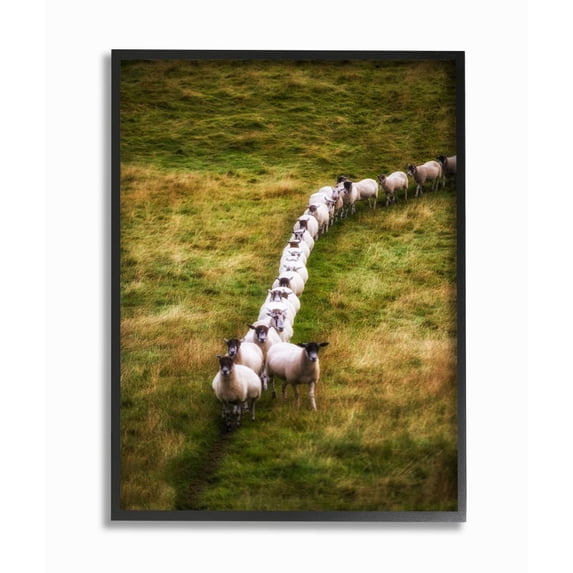 Stupell Industries Sheep Line Farm Animal Landscape Photo Framed Giclee Texturized Art by Villager Jim