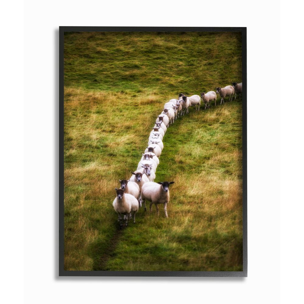 Stupell Industries Sheep Line Farm Animal Landscape Photo Framed Giclee Texturized Art by Villager Jim