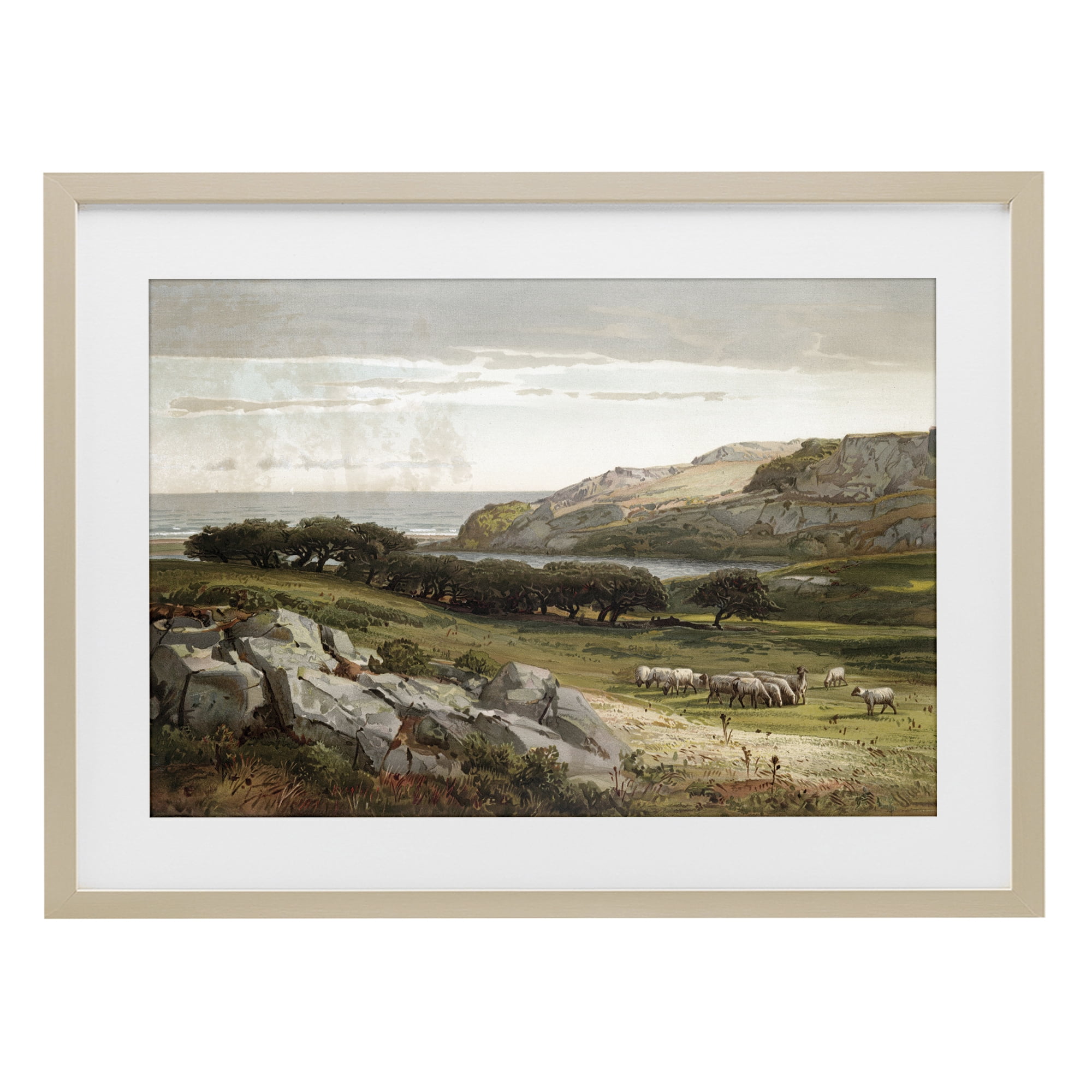 Stupell Industries Sheep in Passionate Landscape Birch Framed Print Under Glass, design by Lula Bijoux & co.
