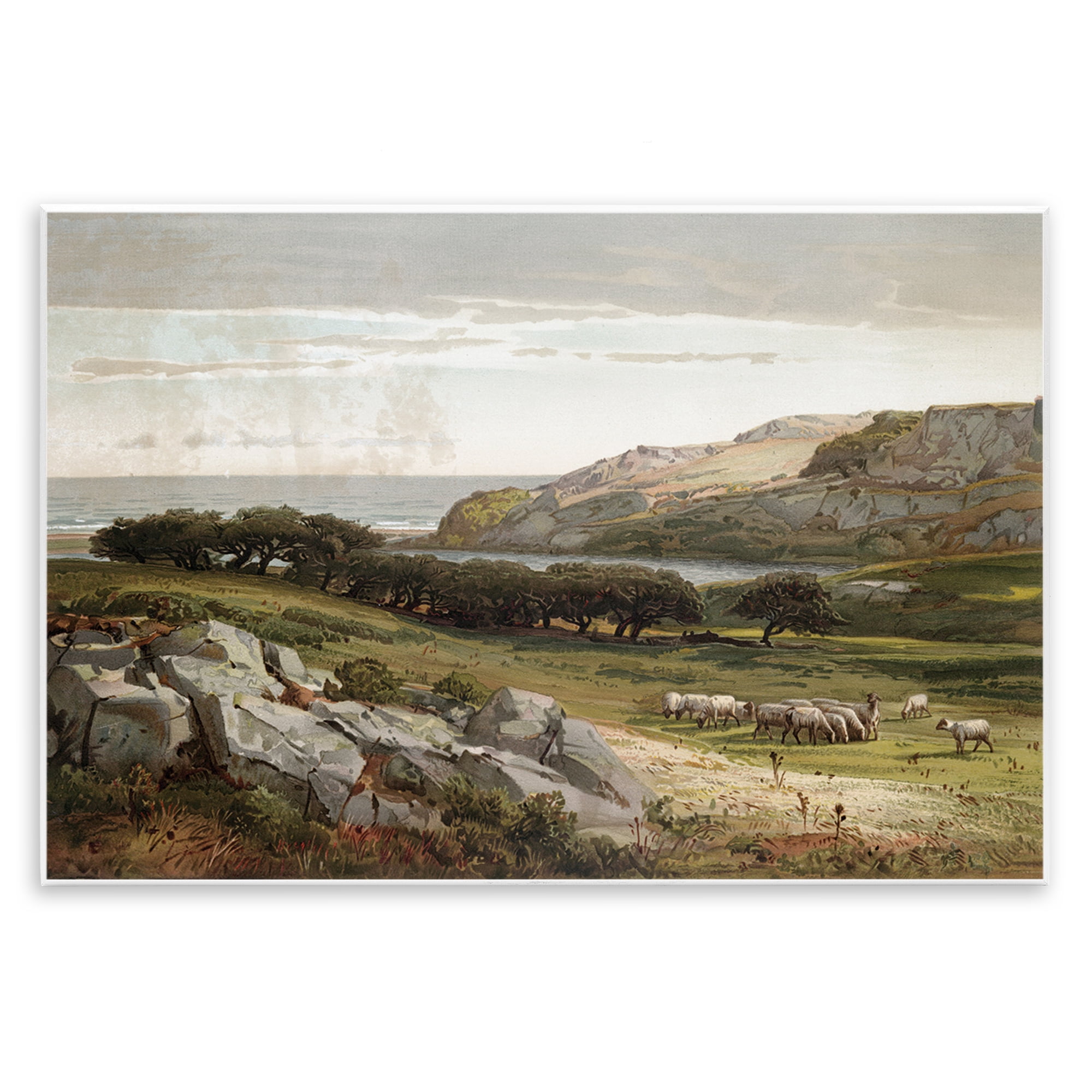 Stupell Industries Sheep in Passionate Landscape Wall Plaque Art, design by Lula Bijoux & co.