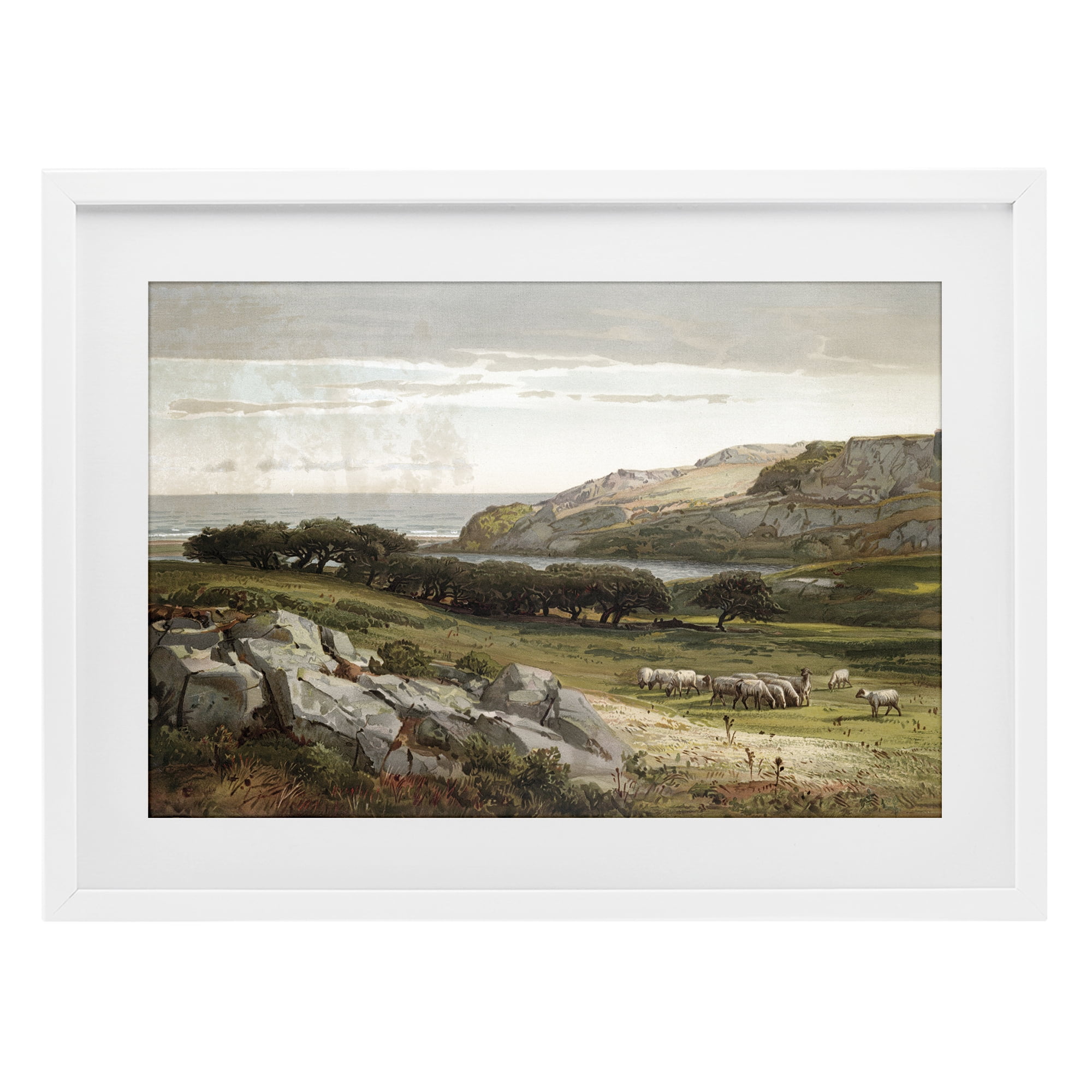 Stupell Industries Sheep in Passionate Landscape White Framed Print Under Glass, design by Lula Bijoux & co.
