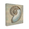 thumbnail image 1 of Stupell Industries Shell Beach Objects Design Canvas Wall Art by Caroline Kelly, 1 of 4