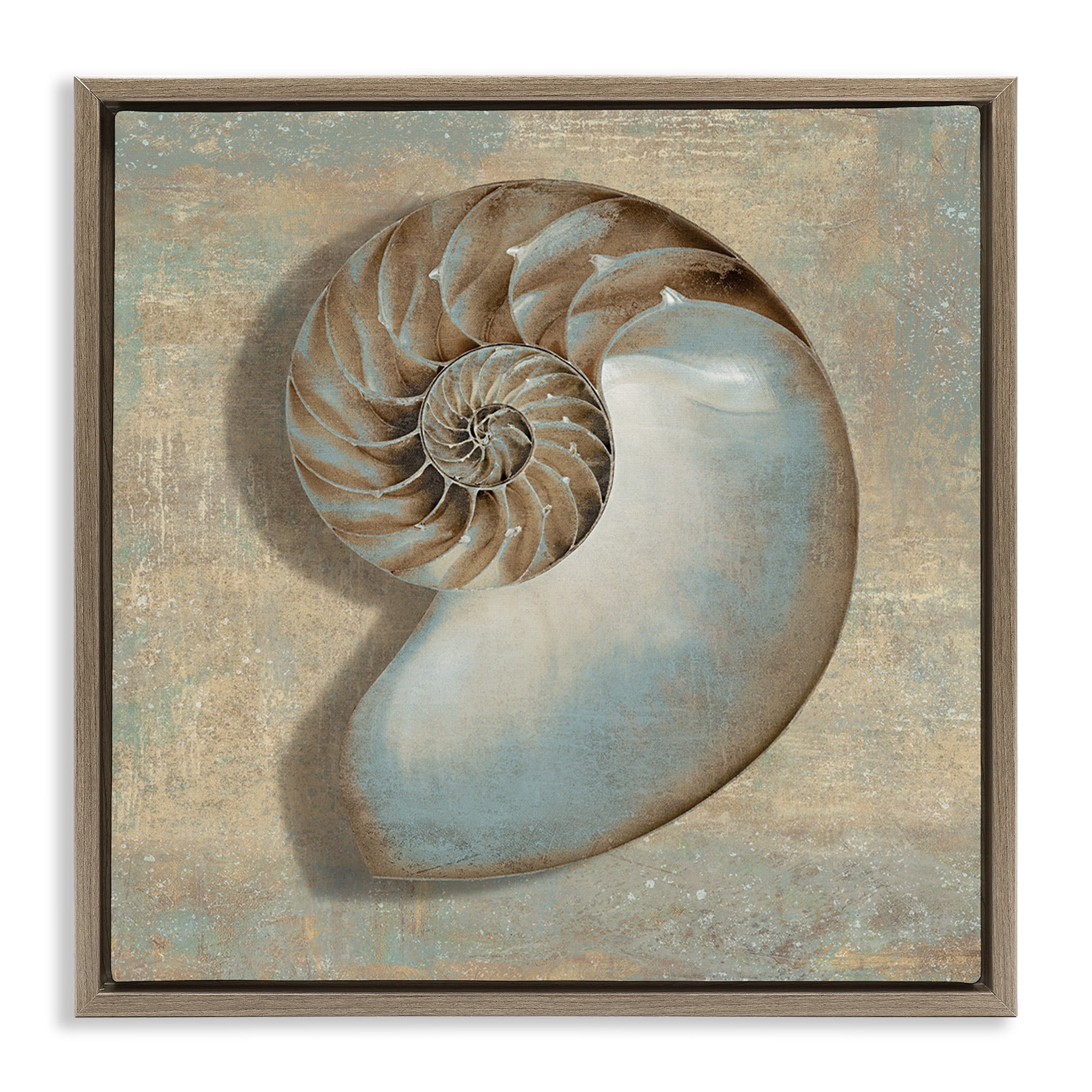 Stupell Industries Shell Beach Objects Design Nature Painting Brown Floater Framed Canvas Art Print Wall Art, 18 x 18