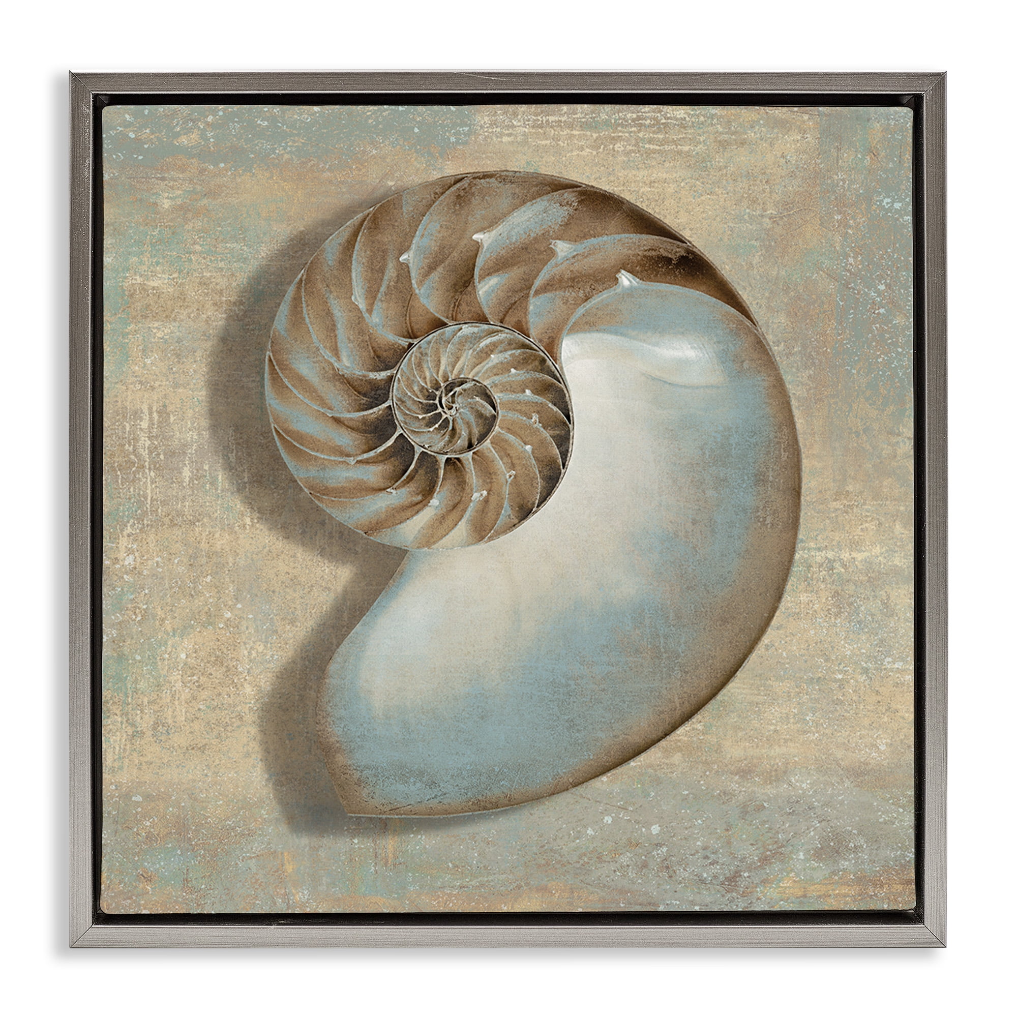 Stupell Industries Shell Beach Objects Design Nature Painting Gray Floater Framed Canvas Art Print Wall Art, 25 x 25