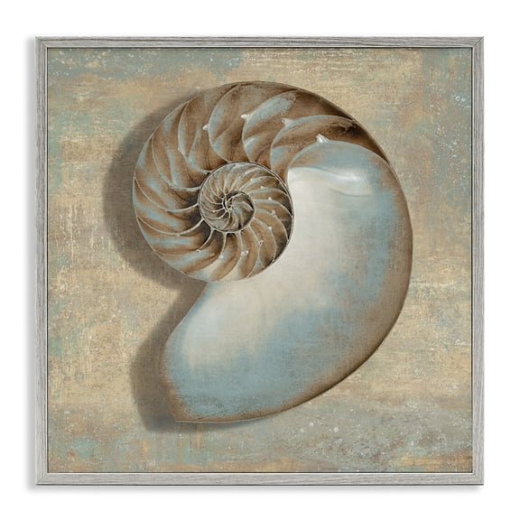 Stupell Industries Shell Beach Objects Design Nature Painting Gray Framed Art Print Wall Art, 17 x 17