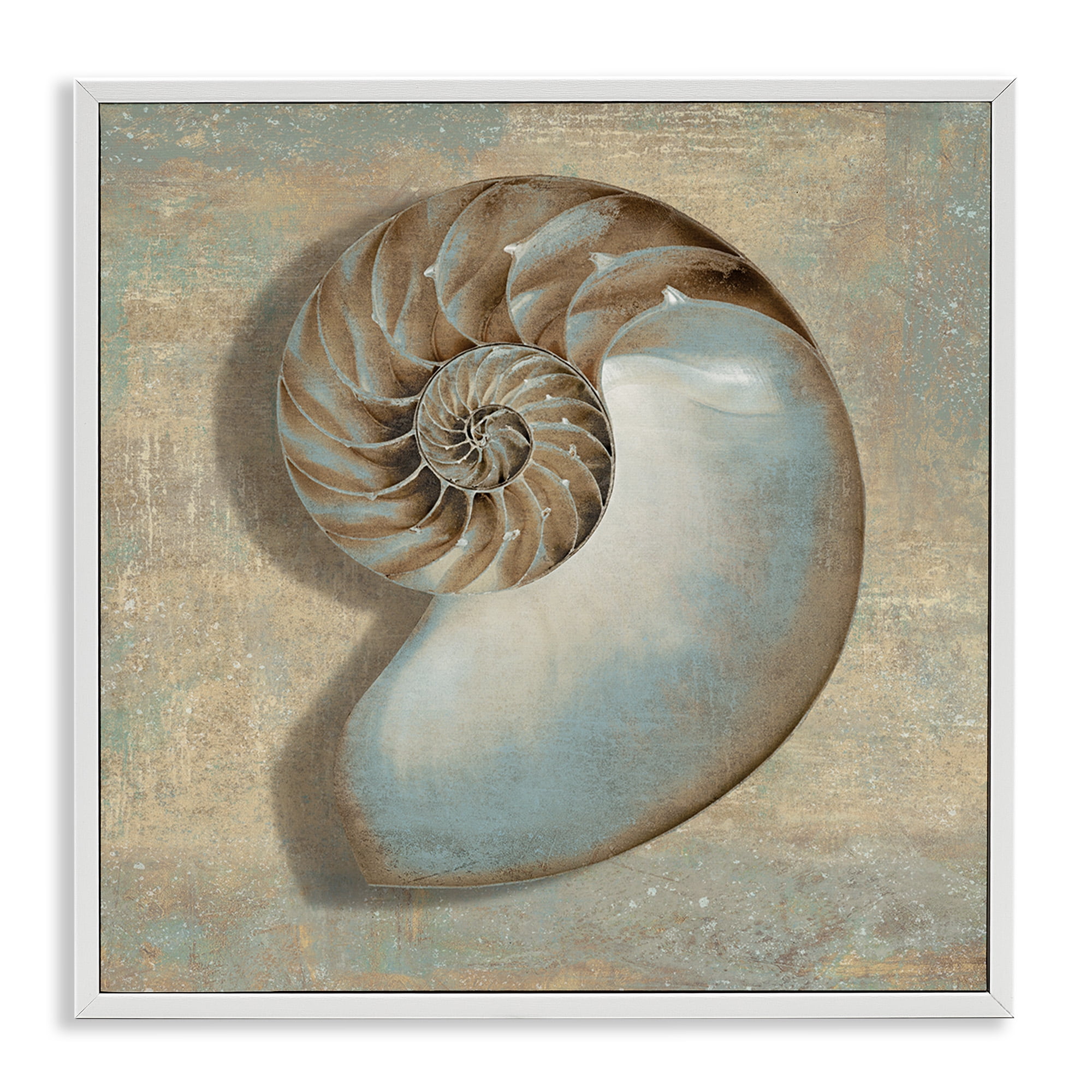 Stupell Industries Shell Beach Objects Design Nature Painting White Framed Art Print Wall Art, 24 x 24
