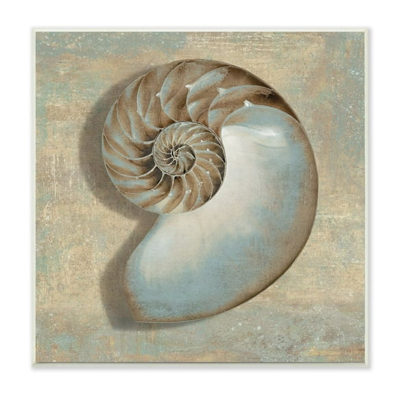 Stupell Industries Shell Beach Objects Design Wall Plaque by Caroline Kelly