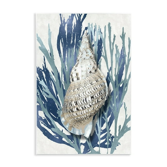 Stupell Industries Shell Coral Blue Beach Design Wall Plaque by Caroline Kelly