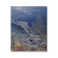 thumbnail image 1 of Stupell Industries Shell Game Underwater Dolphins Coastal Painting Gallery Wrapped Canvas Print Wall Art, 1 of 5