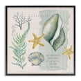 thumbnail image 1 of Stupell Industries Traditional Shell in Pocket Sand In Shoes Beach Quote Black Framed Giclee Art, 12 x 12, by Stephanie Workman Marrott, 1 of 7