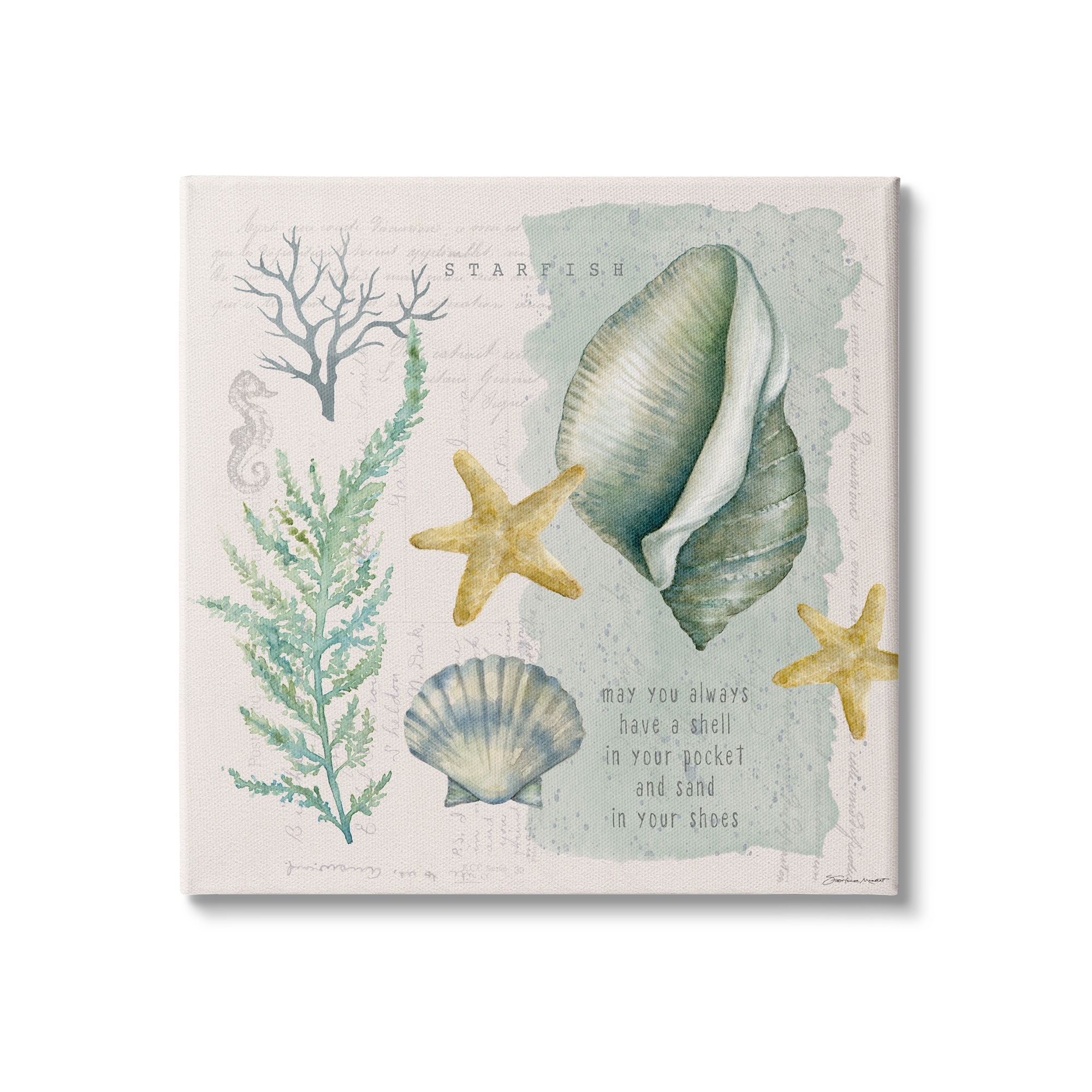 Stupell Industries Shell in Pocket Sand In Shoes Beach Quote, 24 x 24, Design by Stephanie Workman Marrott