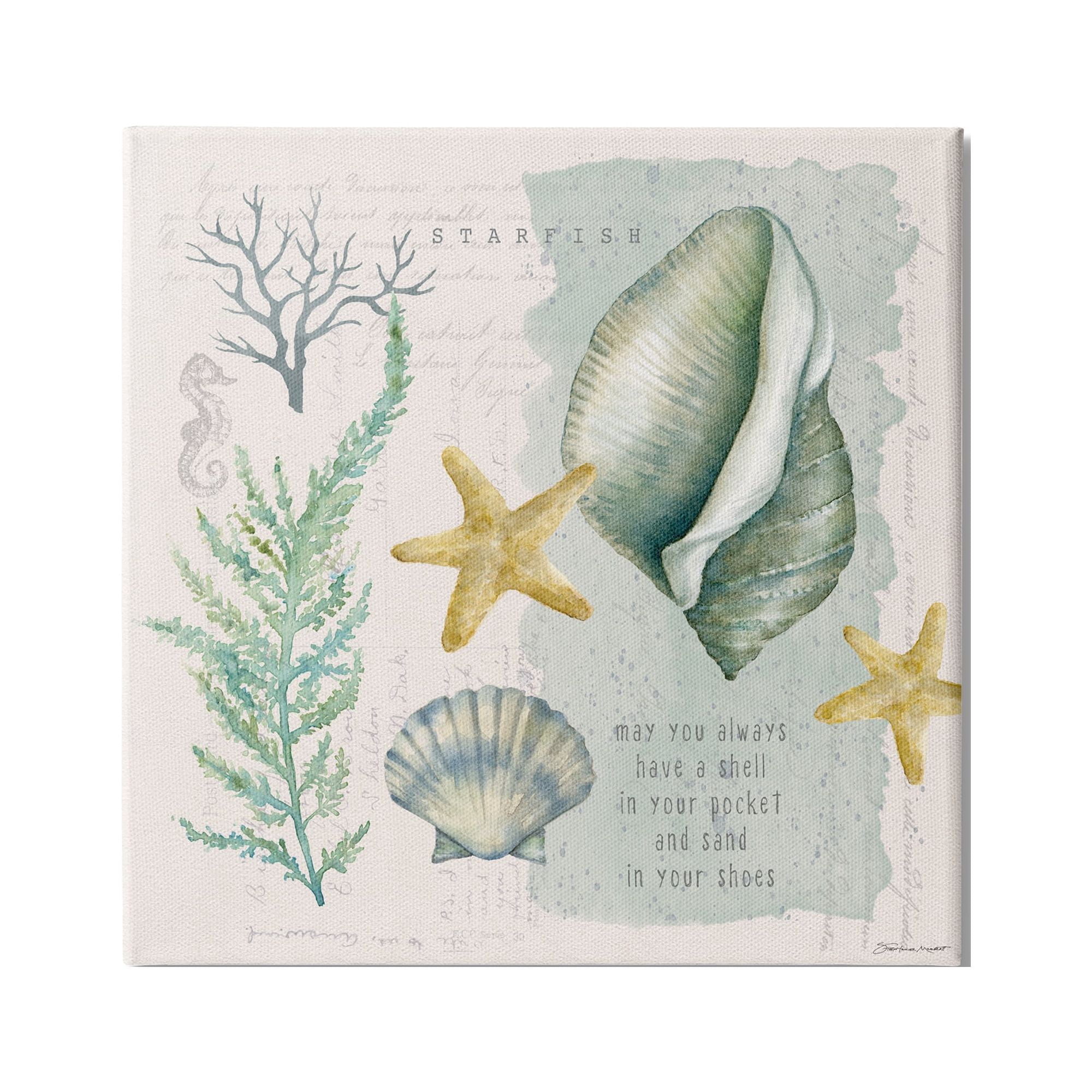 Stupell Industries Shell in Pocket Sand In Shoes Beach Quote, 36 x 36, Design by Stephanie Workman Marrott