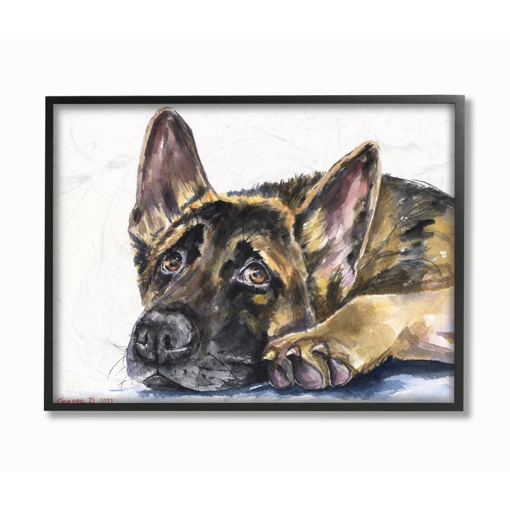 Stupell Industries Shepard Puppy Dog Pet Animal Watercolor Painting Framed Giclee Texturized Art by George Dyachenko