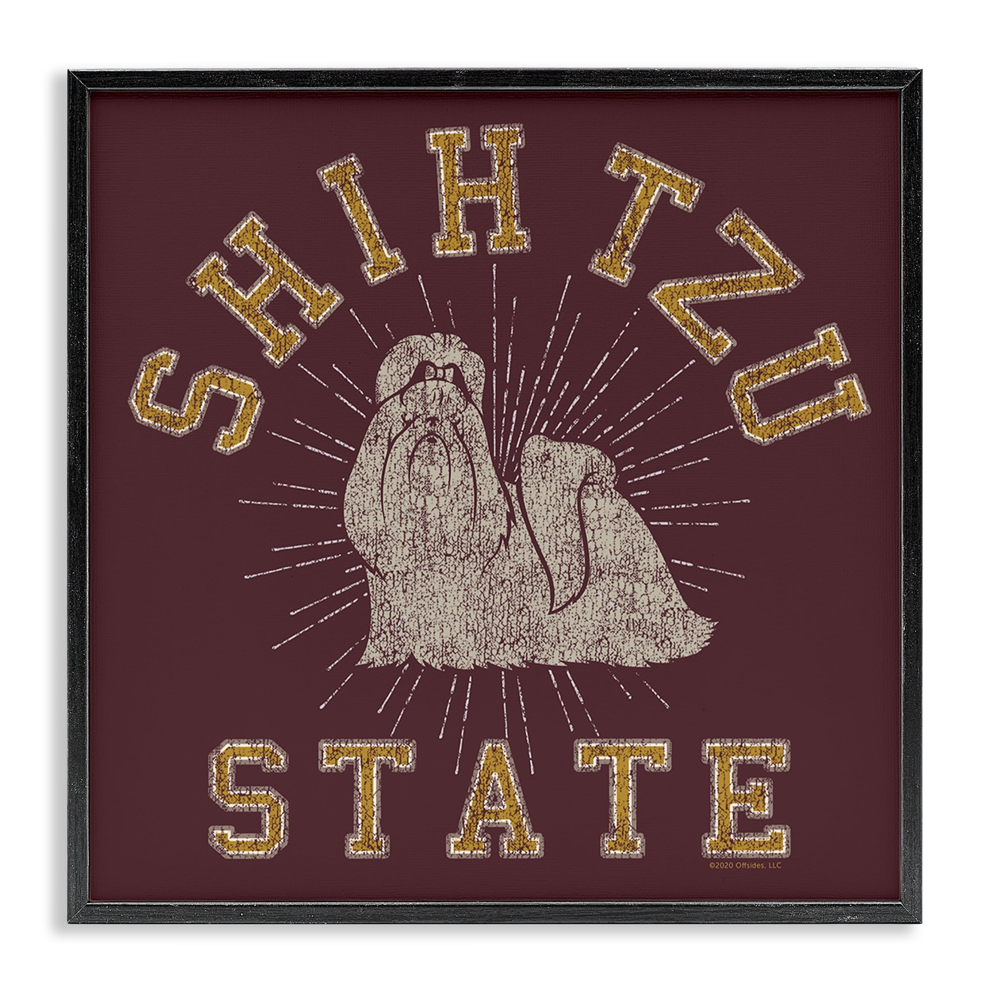 Stupell Industries Shih Tzu State Varsity Novelty & Humor Painting Black Framed Art Print Wall Art, 17 x 17