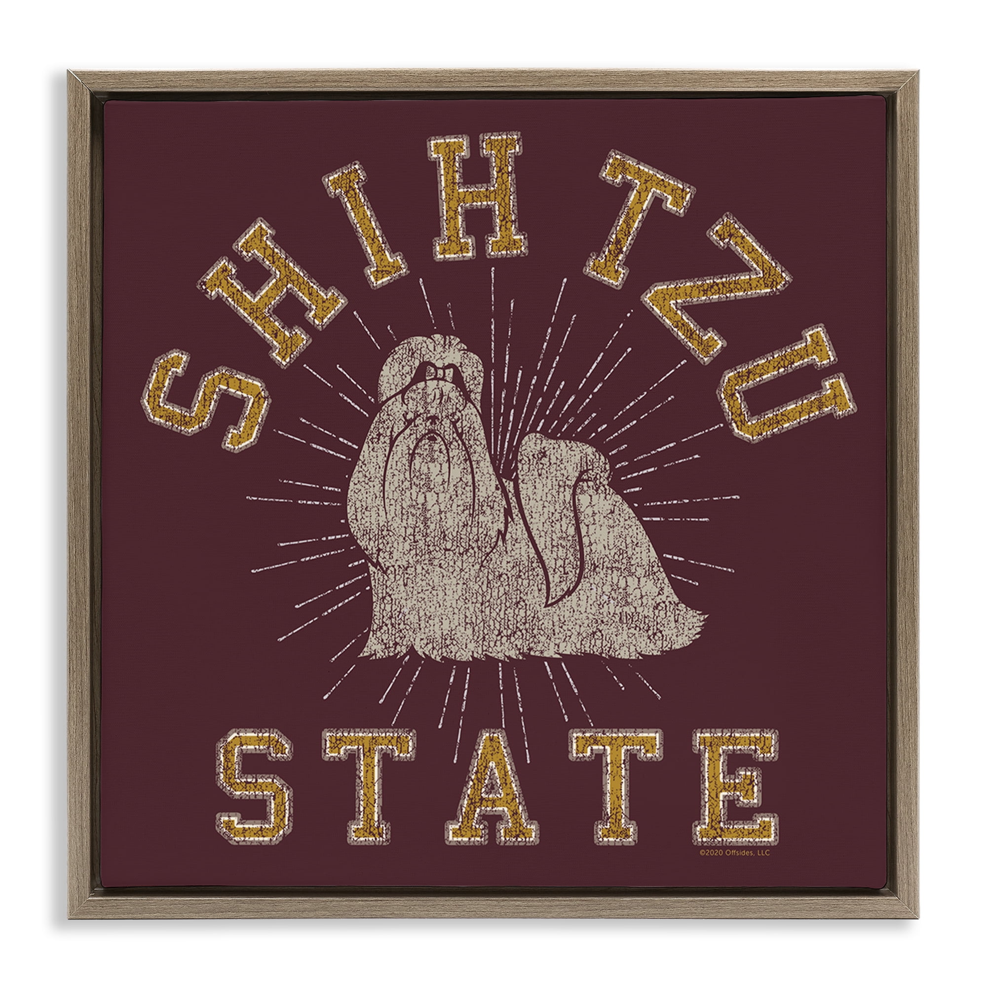 Stupell Industries Shih Tzu State Varsity Novelty & Humor Painting Brown Floater Framed Canvas Art Print Wall Art, 18 x 18