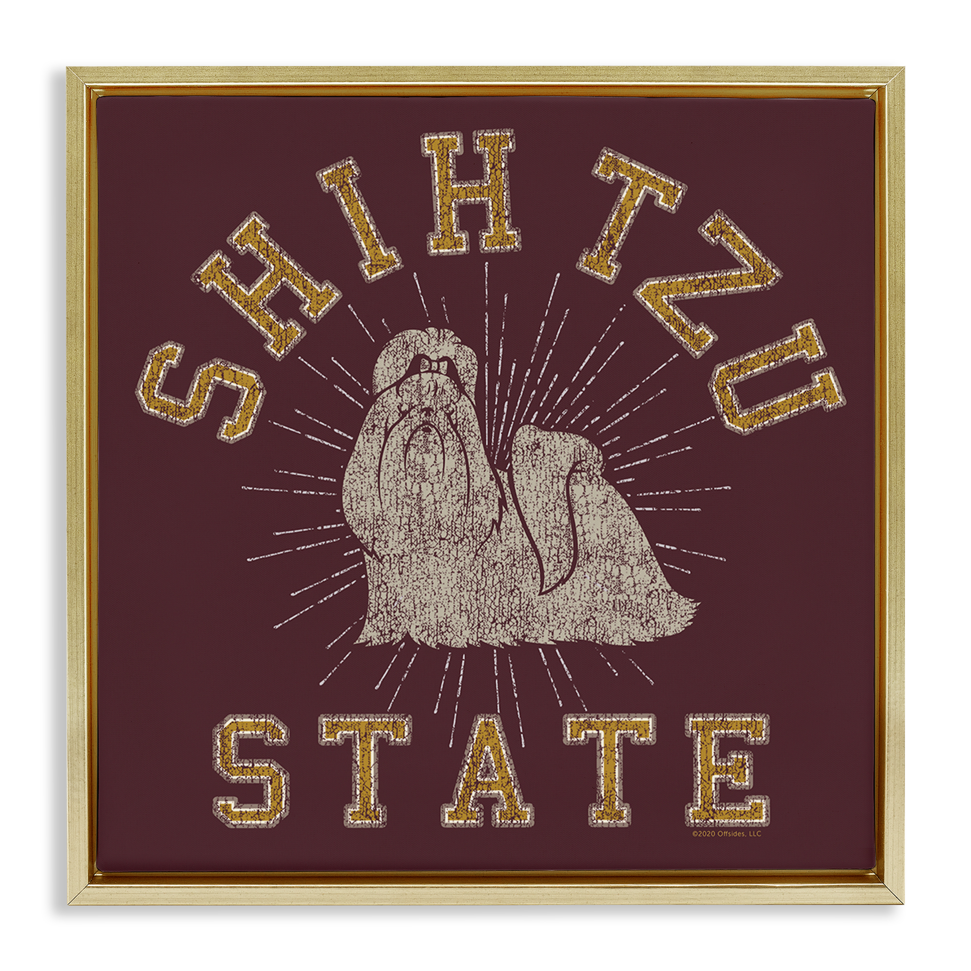 Stupell Industries Shih Tzu State Varsity Novelty & Humor Painting Gold Floater Framed Canvas Art Print Wall Art, 18 x 18