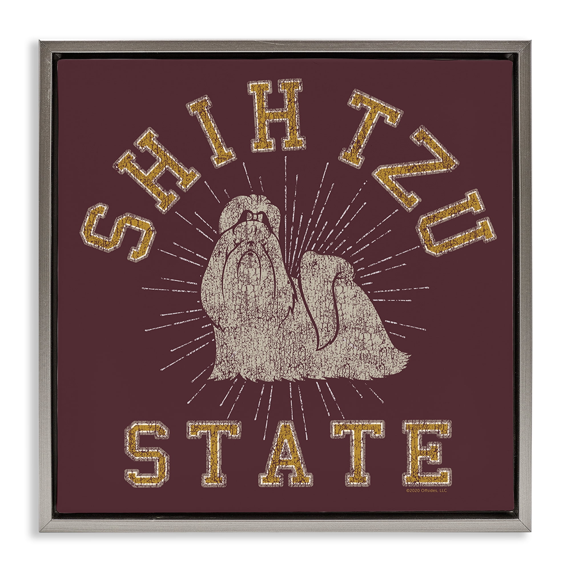 Stupell Industries Shih Tzu State Varsity Novelty & Humor Painting Gray Floater Framed Canvas Art Print Wall Art, 25 x 25