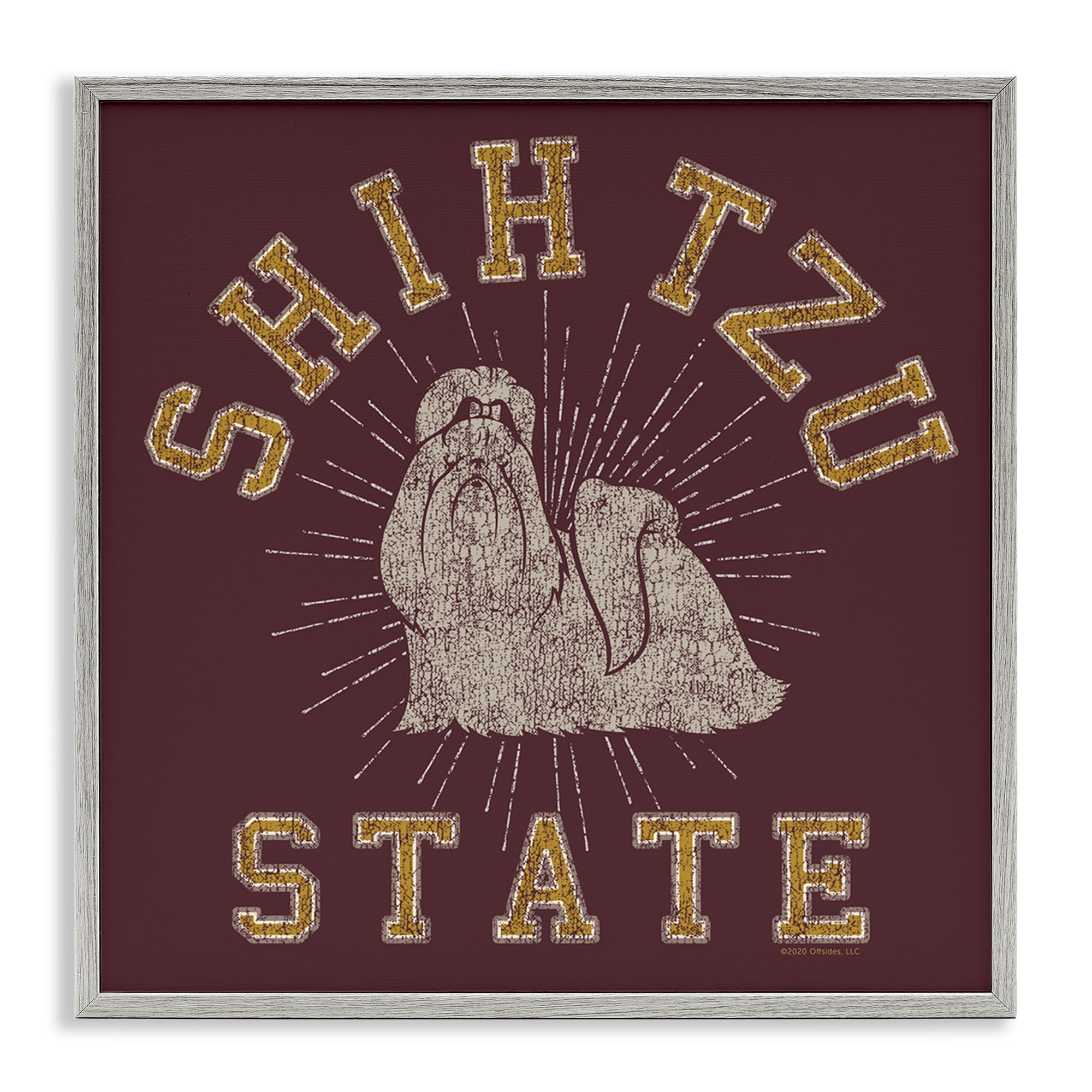 Stupell Industries Shih Tzu State Varsity Novelty & Humor Painting Gray Framed Art Print Wall Art, 12 x 12