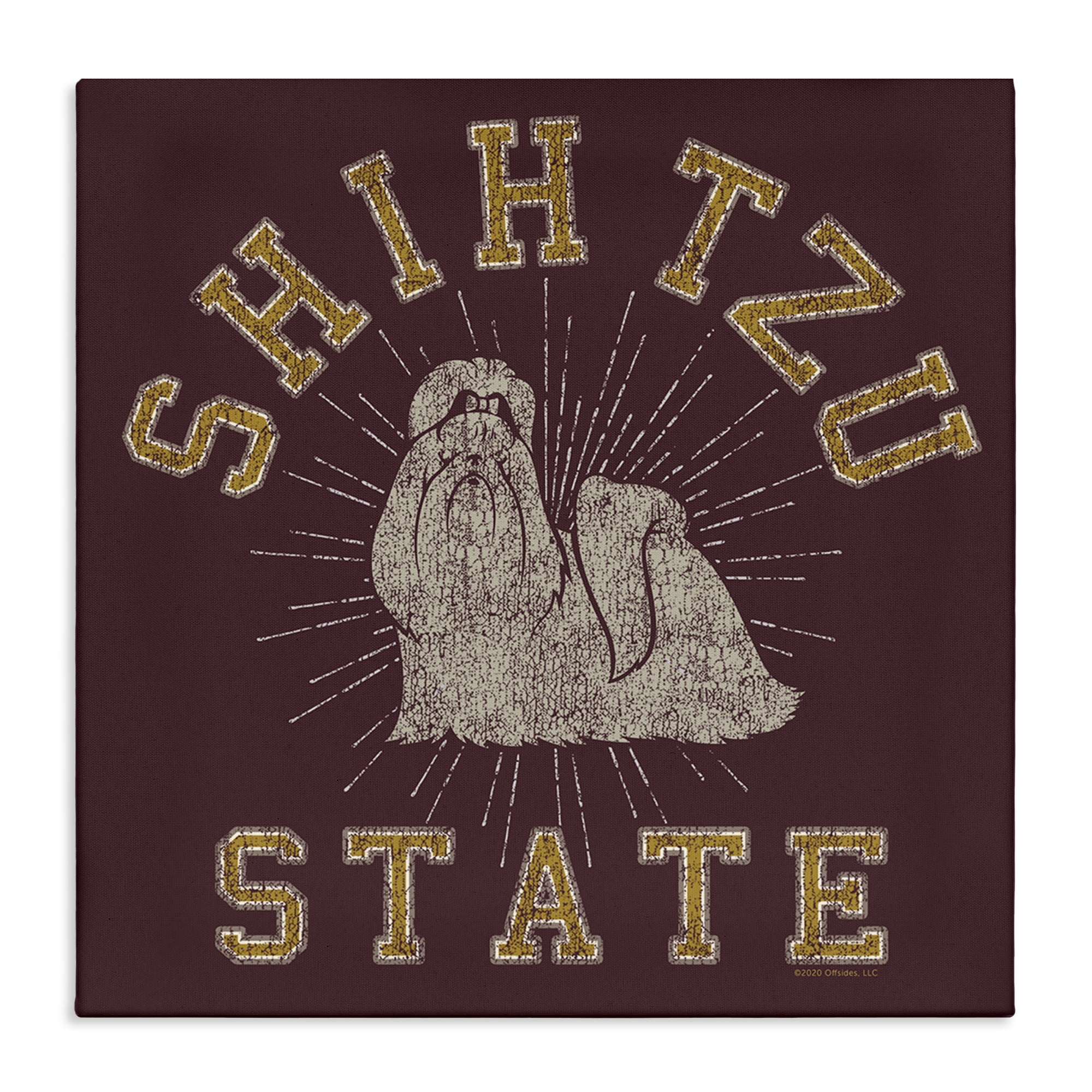 Stupell Industries Shih Tzu State Varsity Novelty & Humor Painting Wrapped Canvas Art Print Wall Art, 36 x 36