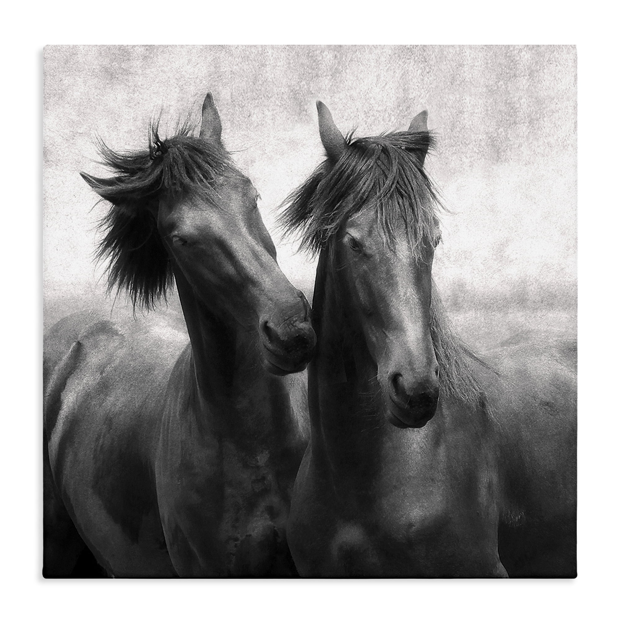 Stupell Industries Short Haired Horse Pair Canvas Wall Art, design by Lars Van de Goor