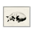 thumbnail image 1 of Stupell Industries Siamese Cat Nap Minimal Relaxed Pet Gray Framed by Grace Popp, 1 of 7