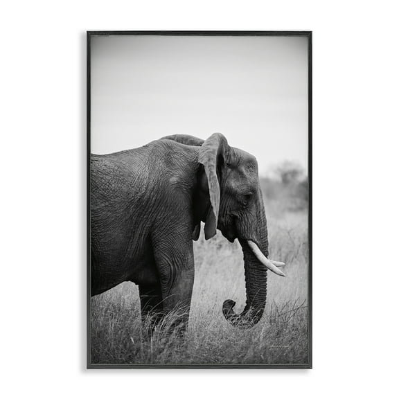 Stupell Industries Side Profile Elephant Animals Photography Black Framed Art Print Wall Art, 16 x 24