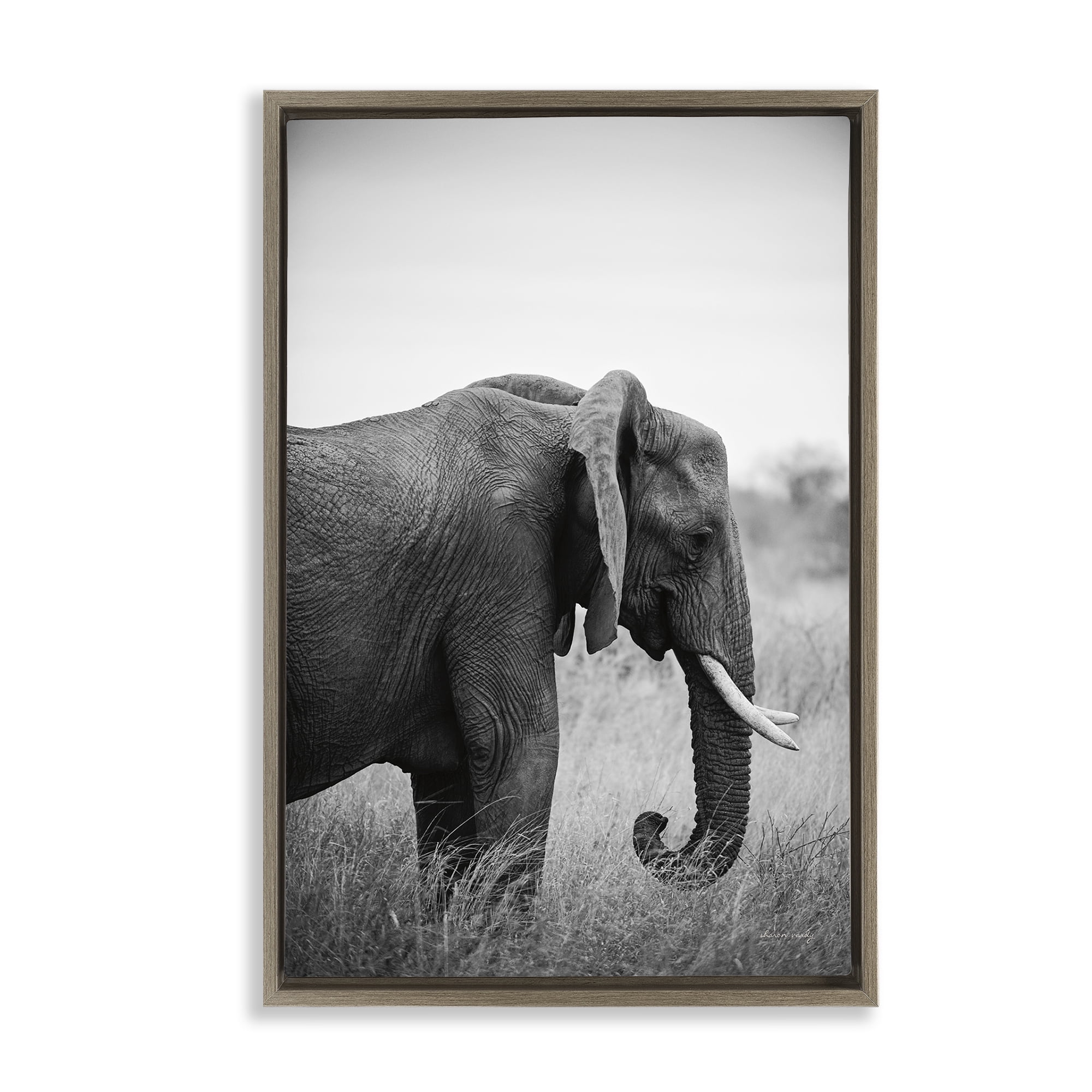 Stupell Industries Side Profile Elephant Animals Photography Brown Floater Framed Canvas Art Print Wall Art, 17 x 25