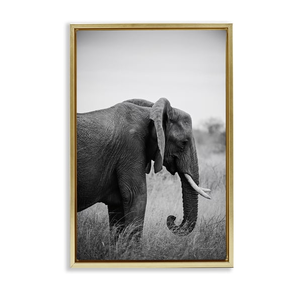 Stupell Industries Side Profile Elephant Animals Photography Gold Floater Framed Canvas Art Print Wall Art, 17 x 25