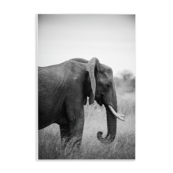 Stupell Industries Side Profile Elephant Animals Photography Unframed Art Print Wall Art, 13 x 19