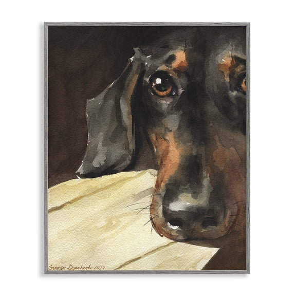 Stupell Industries Sight of Dachshund Gray Framed Giclee Art, design by George Dyachenko