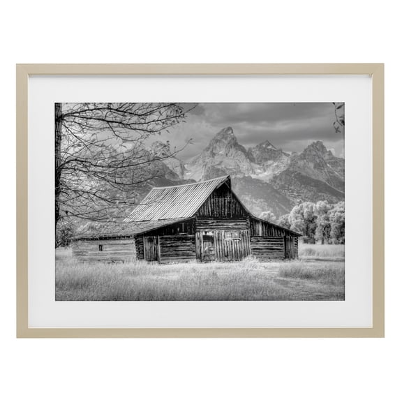 Stupell Industries Sign of the Feather Barn Landscape Birch Framed Print Under Glass design by Sally Linden, 17 x 23